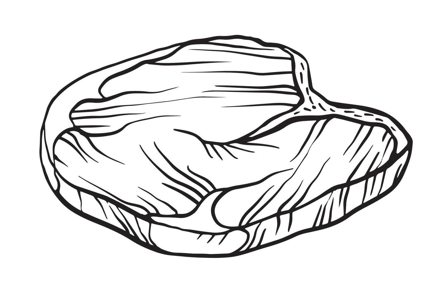 steak porterhouse, Raw fresh meat cut from beef, lamb and pork. Hand drawn outline illustration for meat shop, Butchery, market, barbecue, grill, picnic, restaurant, banner, sticker, menu desig vector