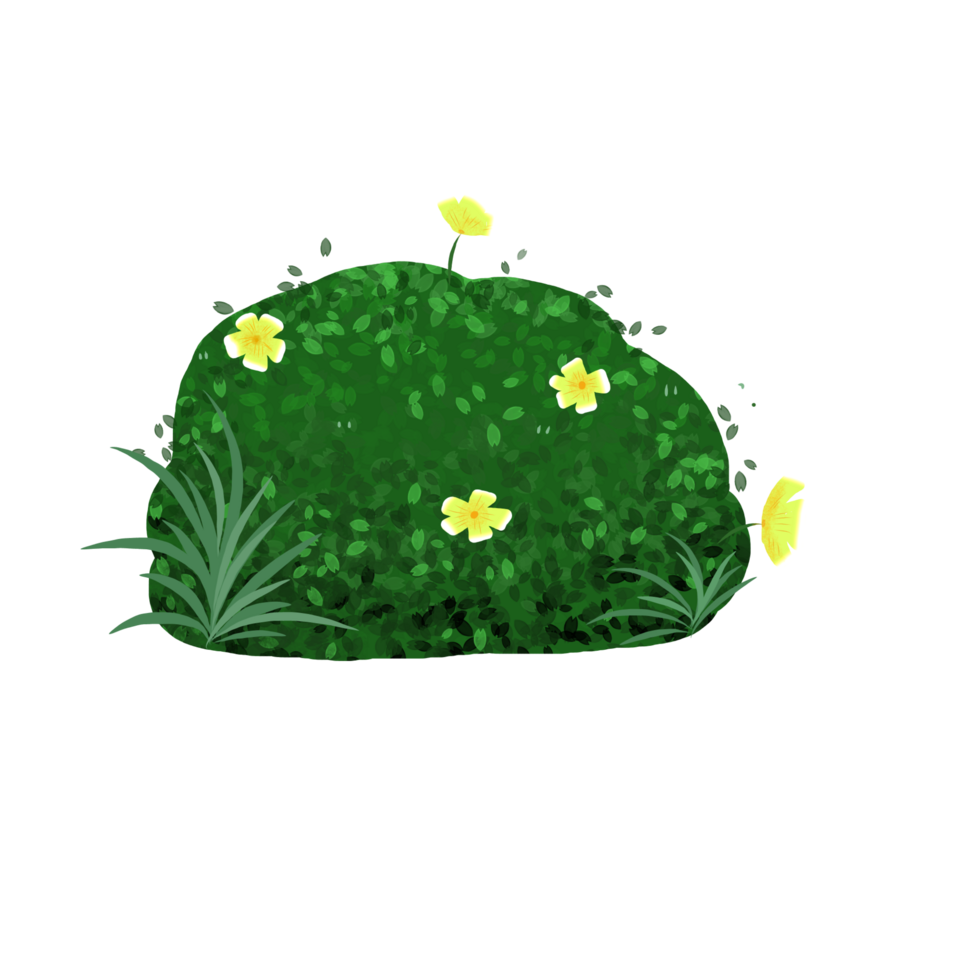 green tufts grass png