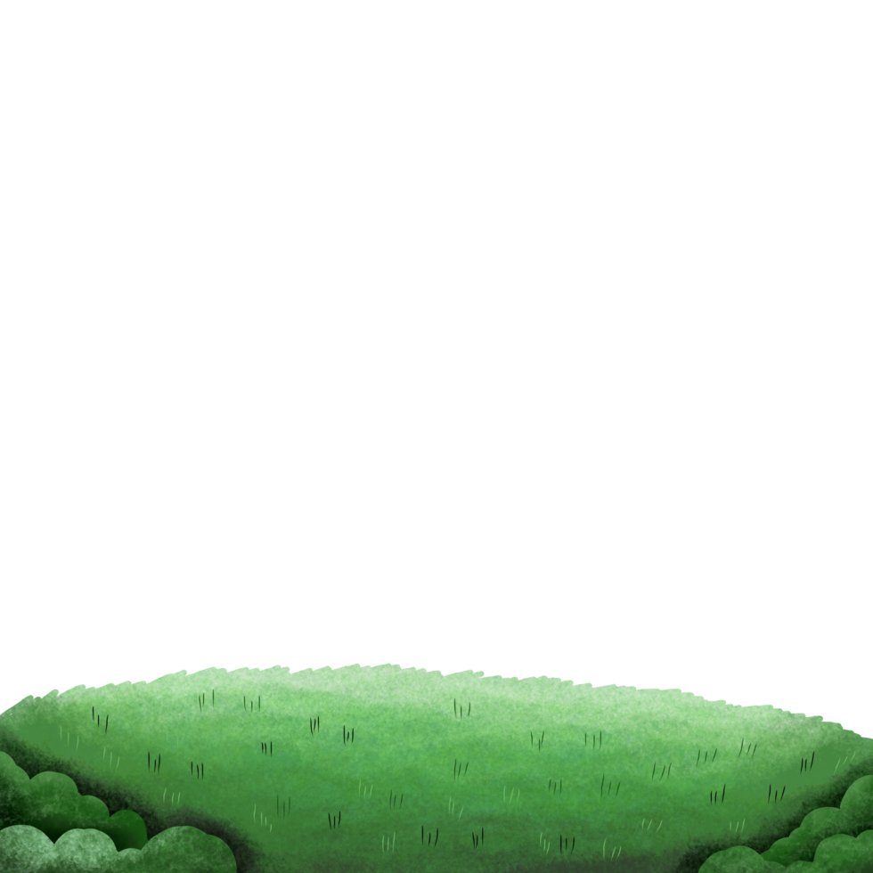 Spring or summer plant field lawn png