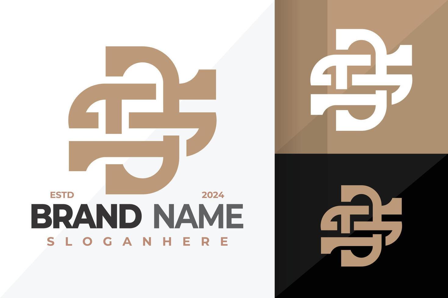DS Letter Monogram Logo design symbol icon illustration vector