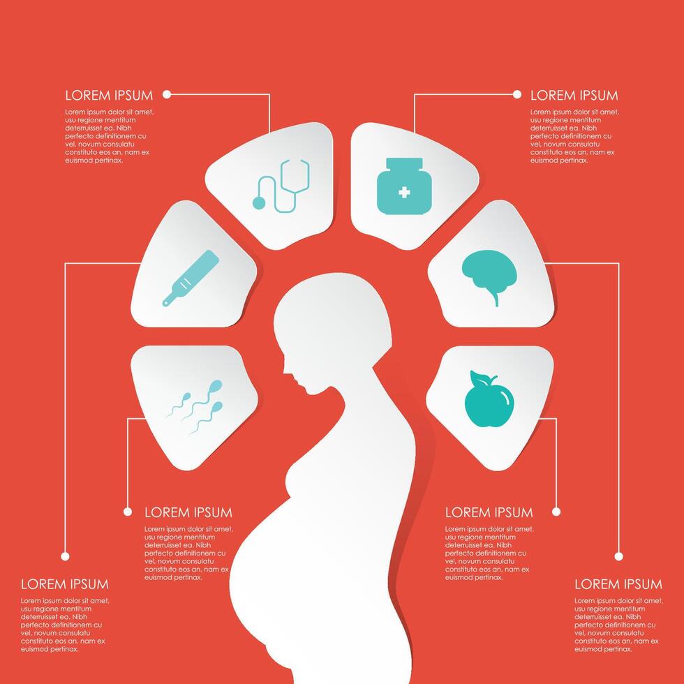pregnancy and motherhood Infographic Chart. Health of pregnant women and fetal development.Pregnant diet, healthy lifestyle concept. Unhealthy pregnancy food vector
