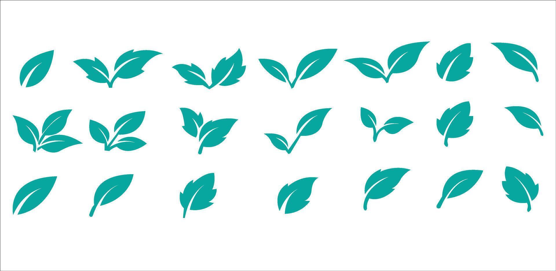 Green leaf icons set. Leaves icon on isolated background. Collection green leaf. Elements design for natural, eco, vegan, bio labels. Leaves simple illustration vector