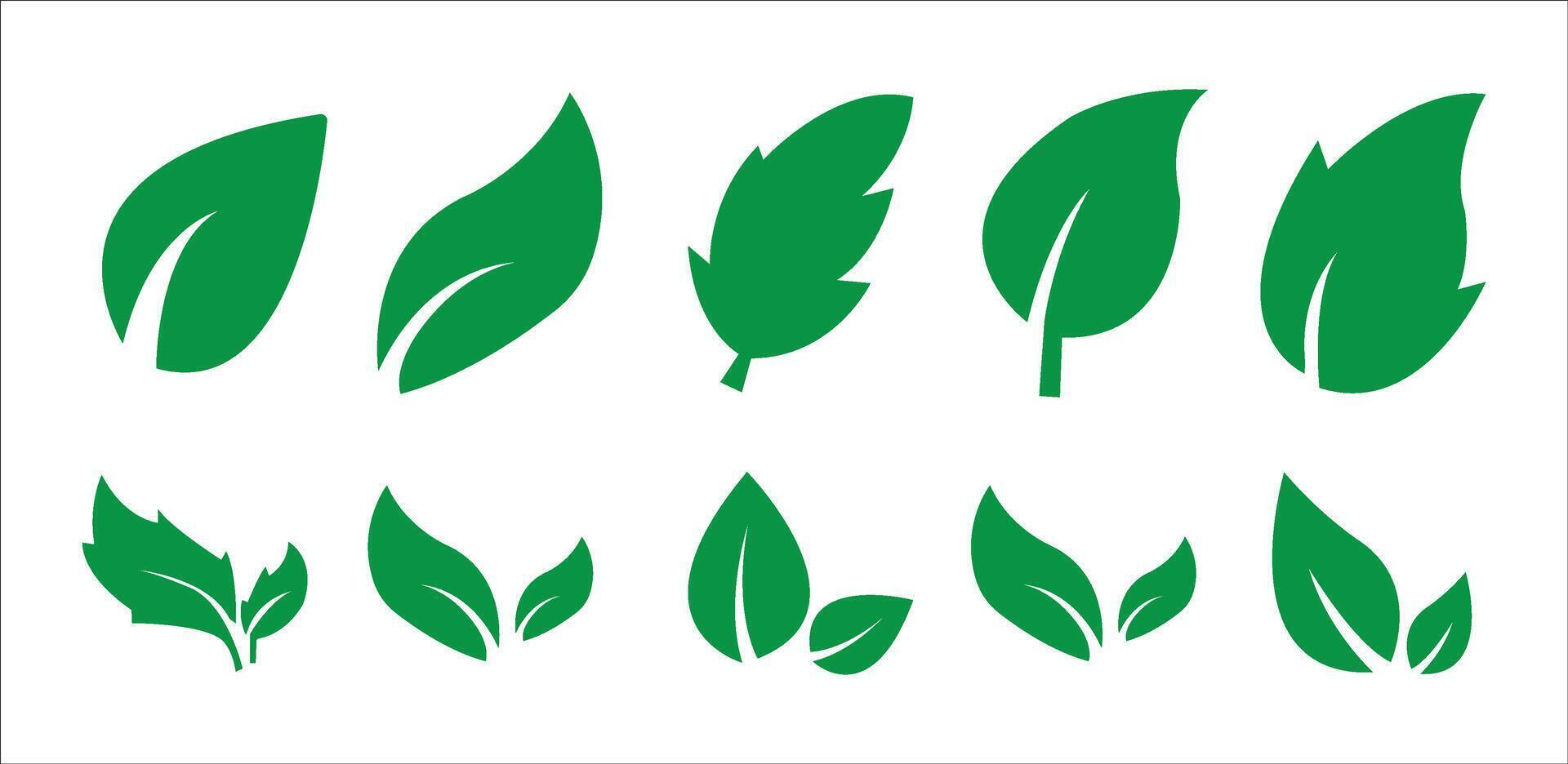 Green leaf icons set. Leaves icon on isolated background. Collection green leaf. Elements design for natural, eco, vegan, bio labels. Leaves simple illustration vector