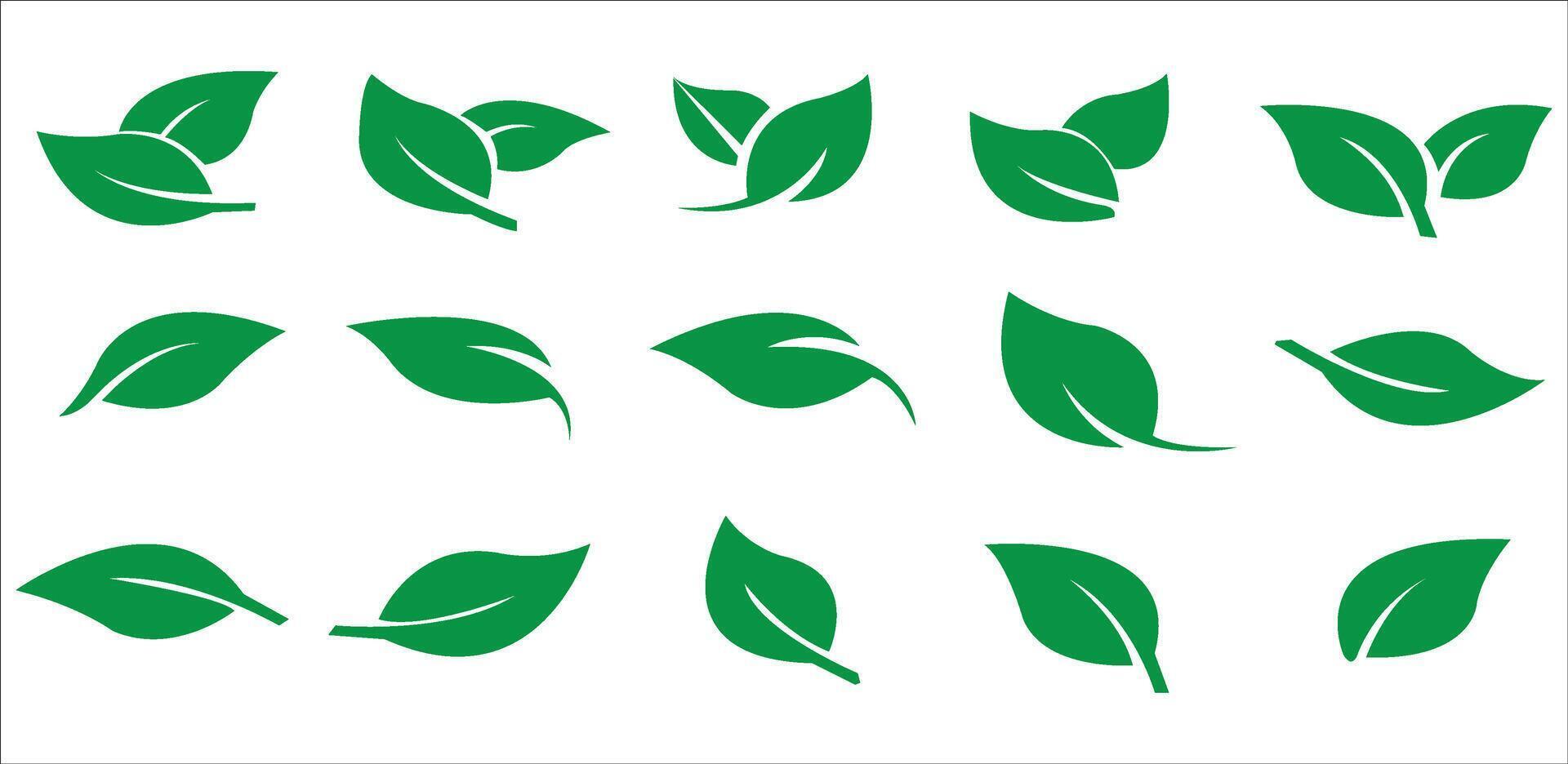 Green leaf icons set. Leaves icon on isolated background. Collection green leaf. Elements design for natural, eco, vegan, bio labels. Leaves simple illustration vector