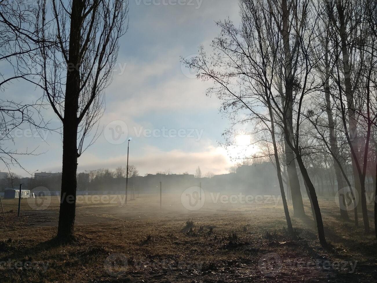 Fog Between Trees. The fog rises from the ground upwards. Morning after dawn, blue sky and sun rays between trees photo