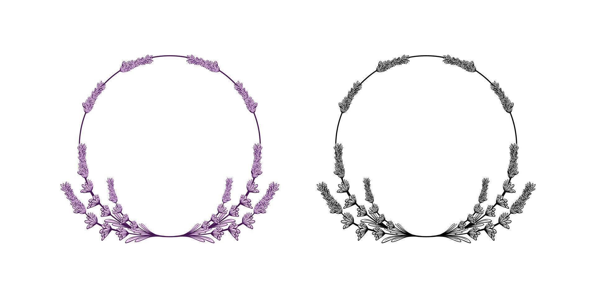 Lavender Flower Frame Design Illustration vector