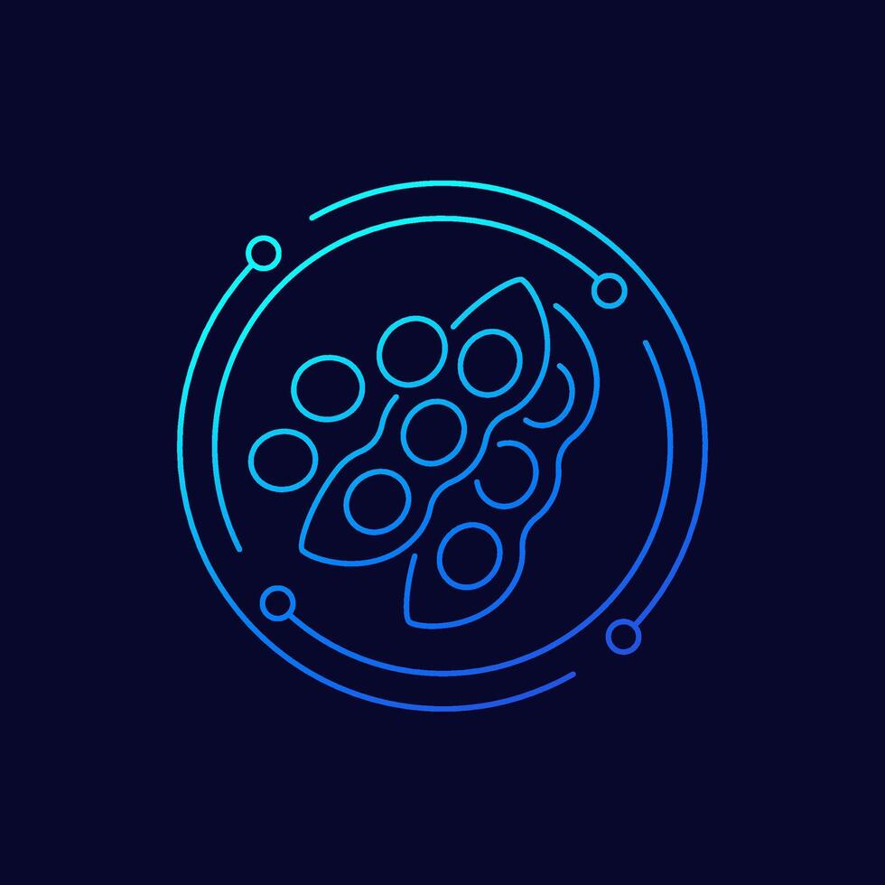 soybeans icon, soy beans linear design vector