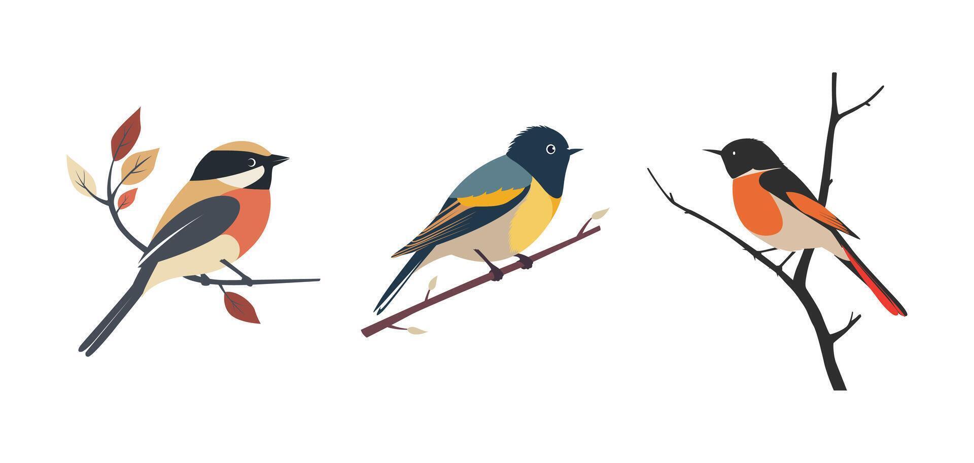 Set of flat illustration of a single bird perched on a branch on white background vector
