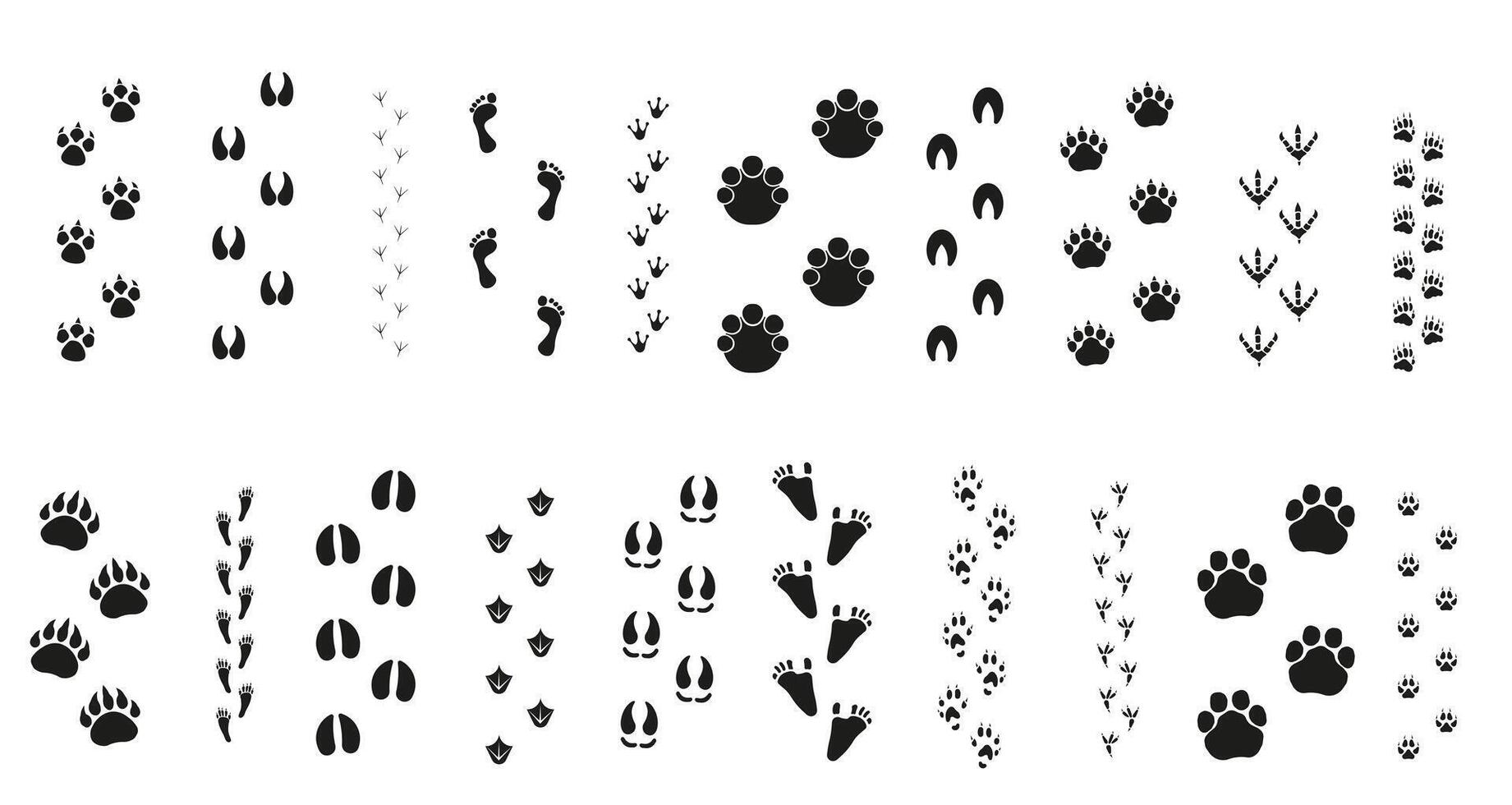 Set of trails for animals and birds with the name. Animal paw prints. vector