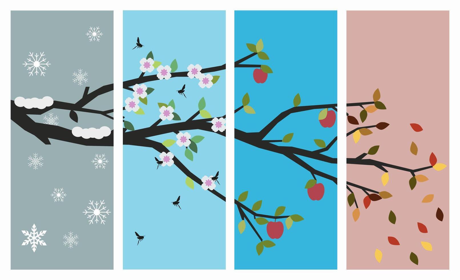 Apple tree branch parallel to the four seasons of the year. Seasons of the year in illustration. vector