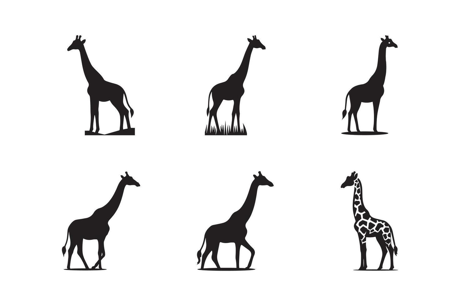Giraffe Icon silhouette Set with editable . Set of giraffe icons in flat black color isolated on white background. vector
