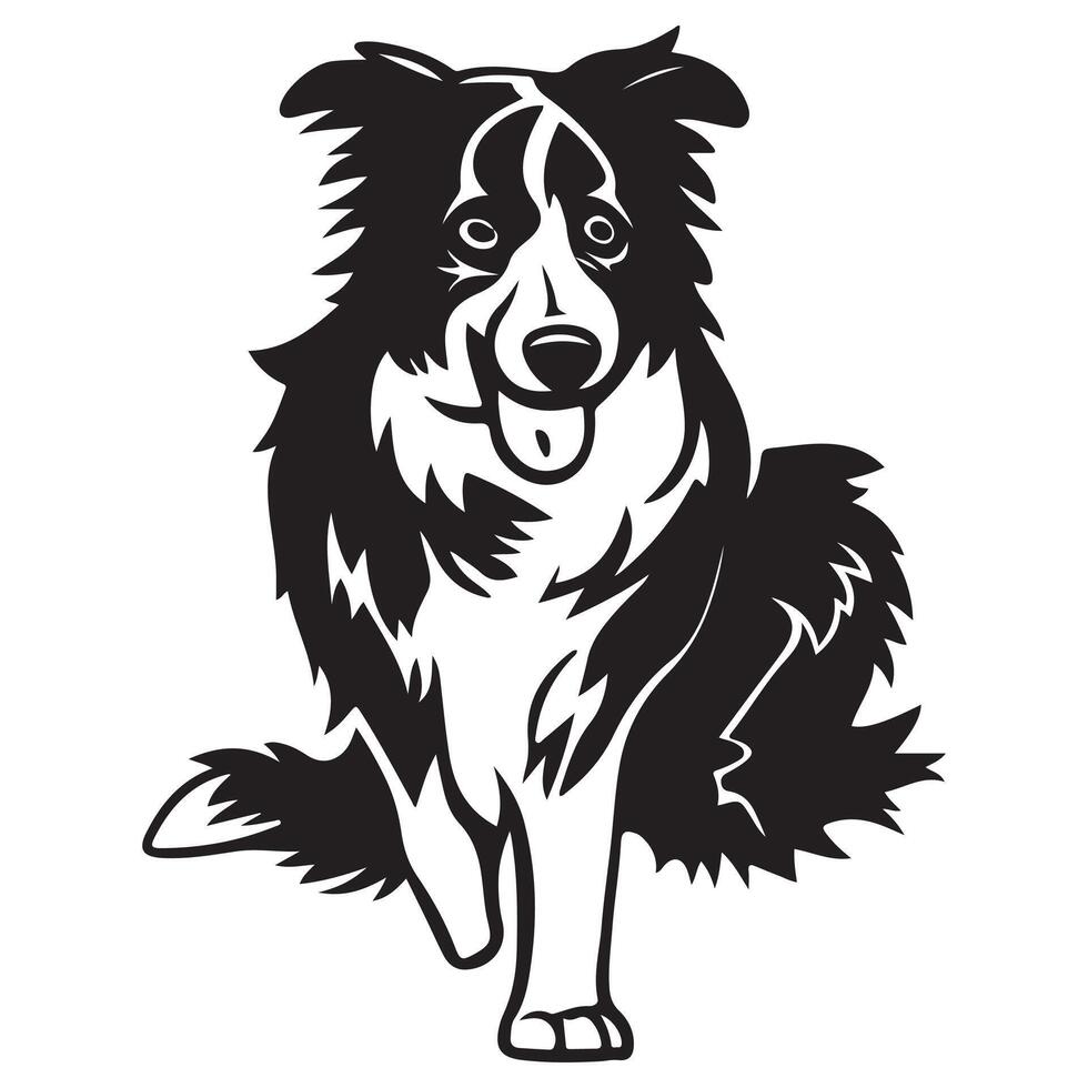 Peeking Border Collie Clipart Peeking Border Collie Dog vector