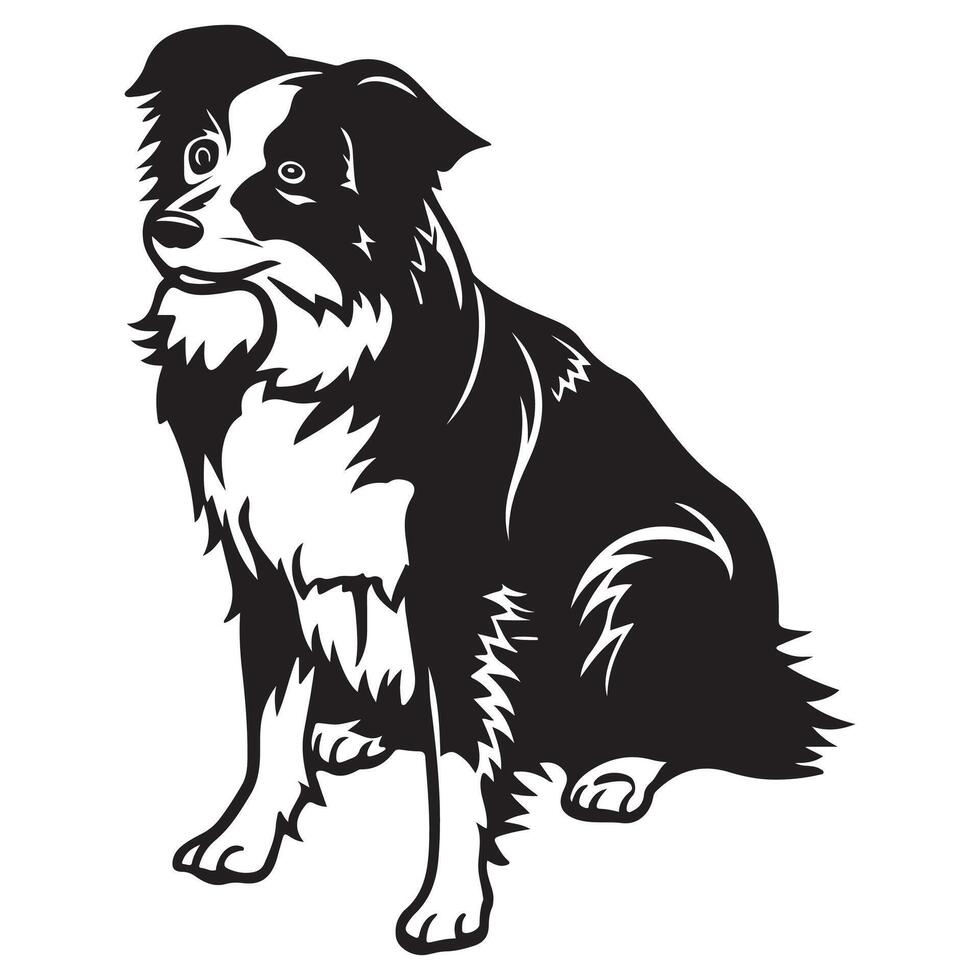 Peeking Border Collie Clipart Peeking Border Collie Dog vector