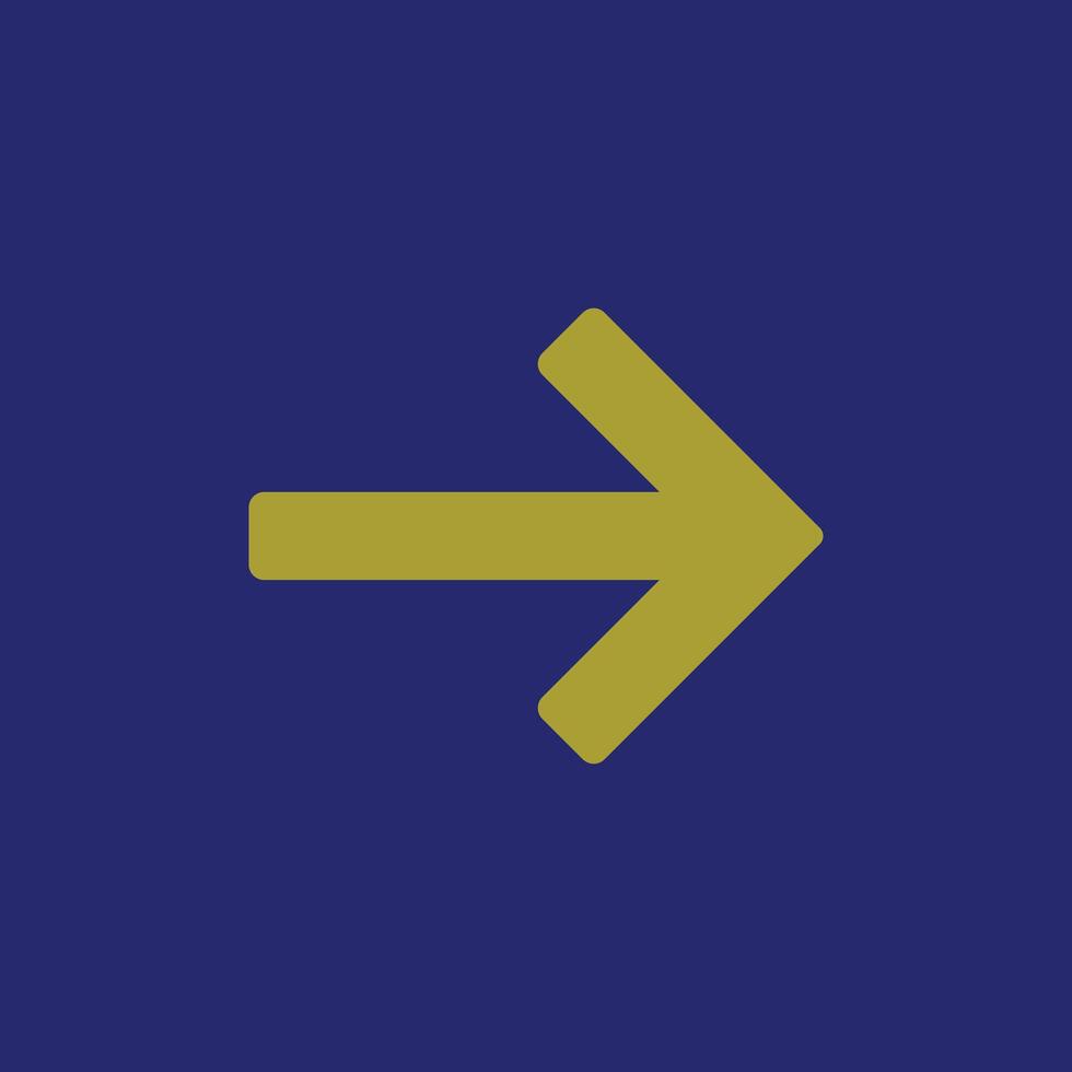 Direction icon, right direction icon vector