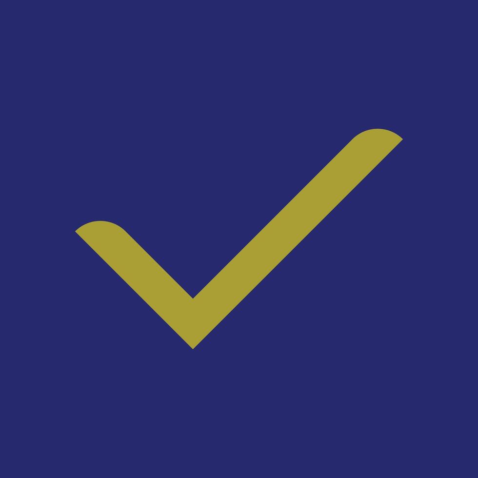 Correct icon, correction icon vector