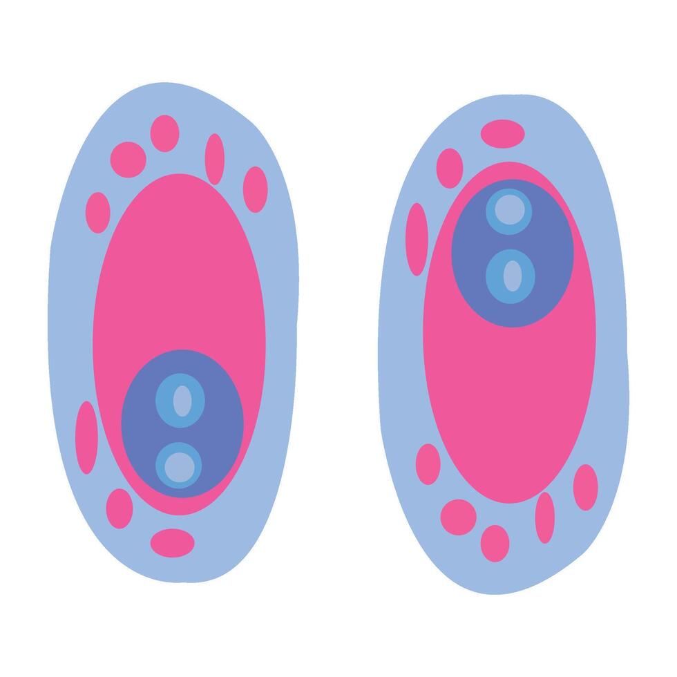 Illustrations of Simple Shapes of Various Virus Icons and Pictograms vector