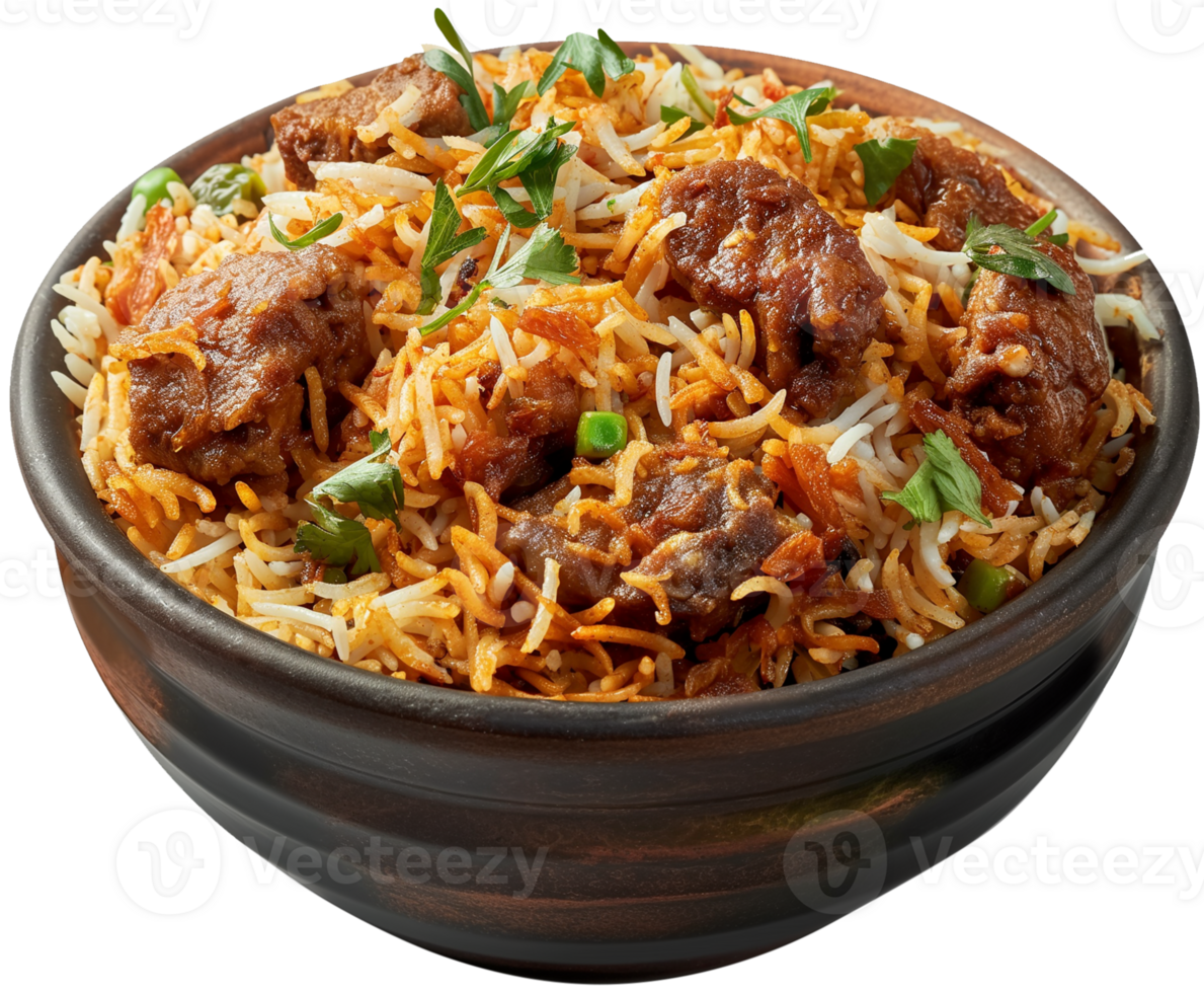 Biryani Dish - Special biryani with meat and rice isolated illustration on a transparent background png