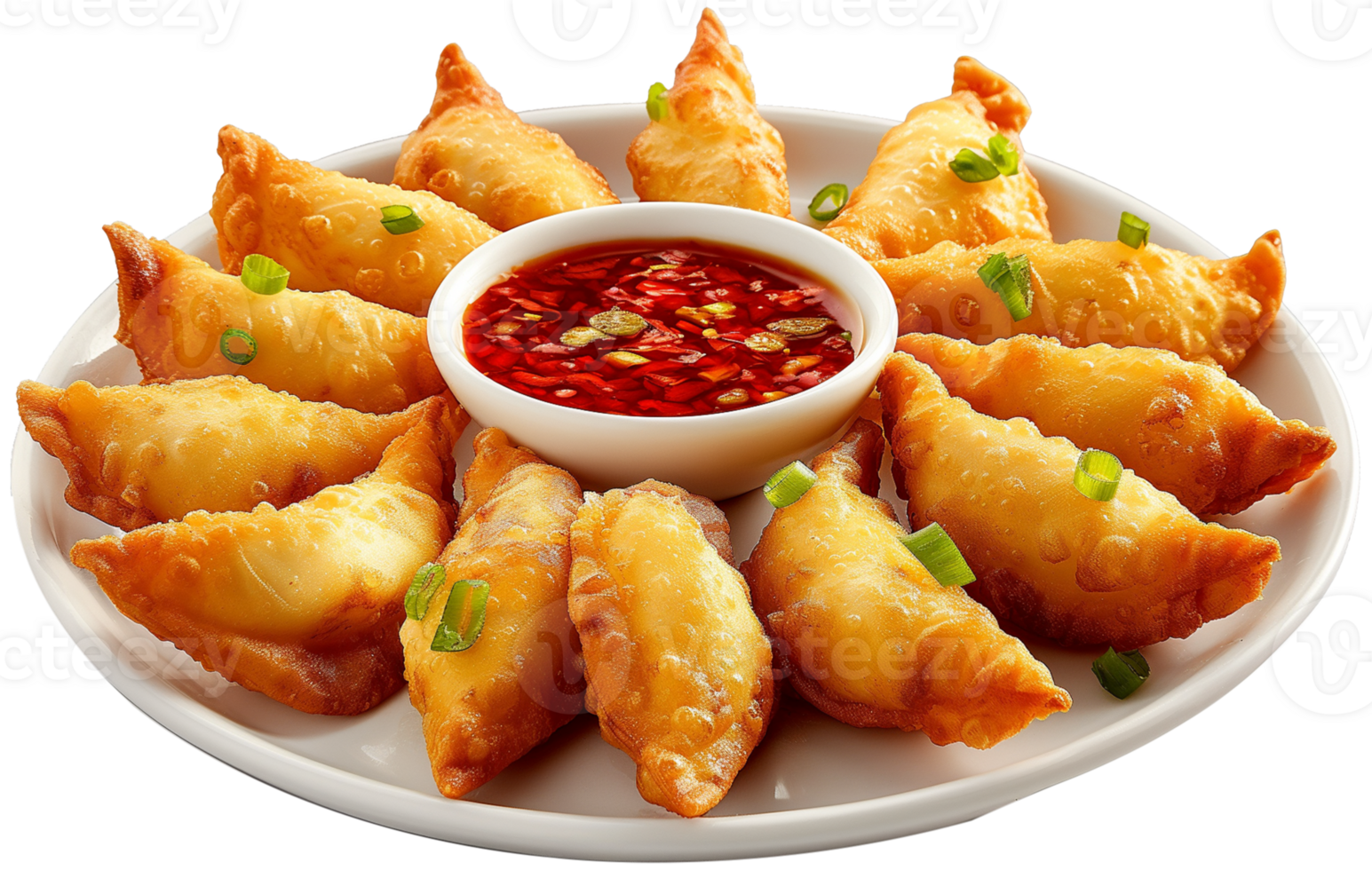 A plate of fried jiaozi with Spicy Sauce isolated illustration on a transparent background png