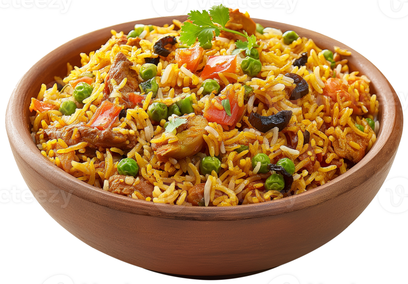 Biryani Dish - a bowl of biryani with meat isolated illustration on a transparent background png
