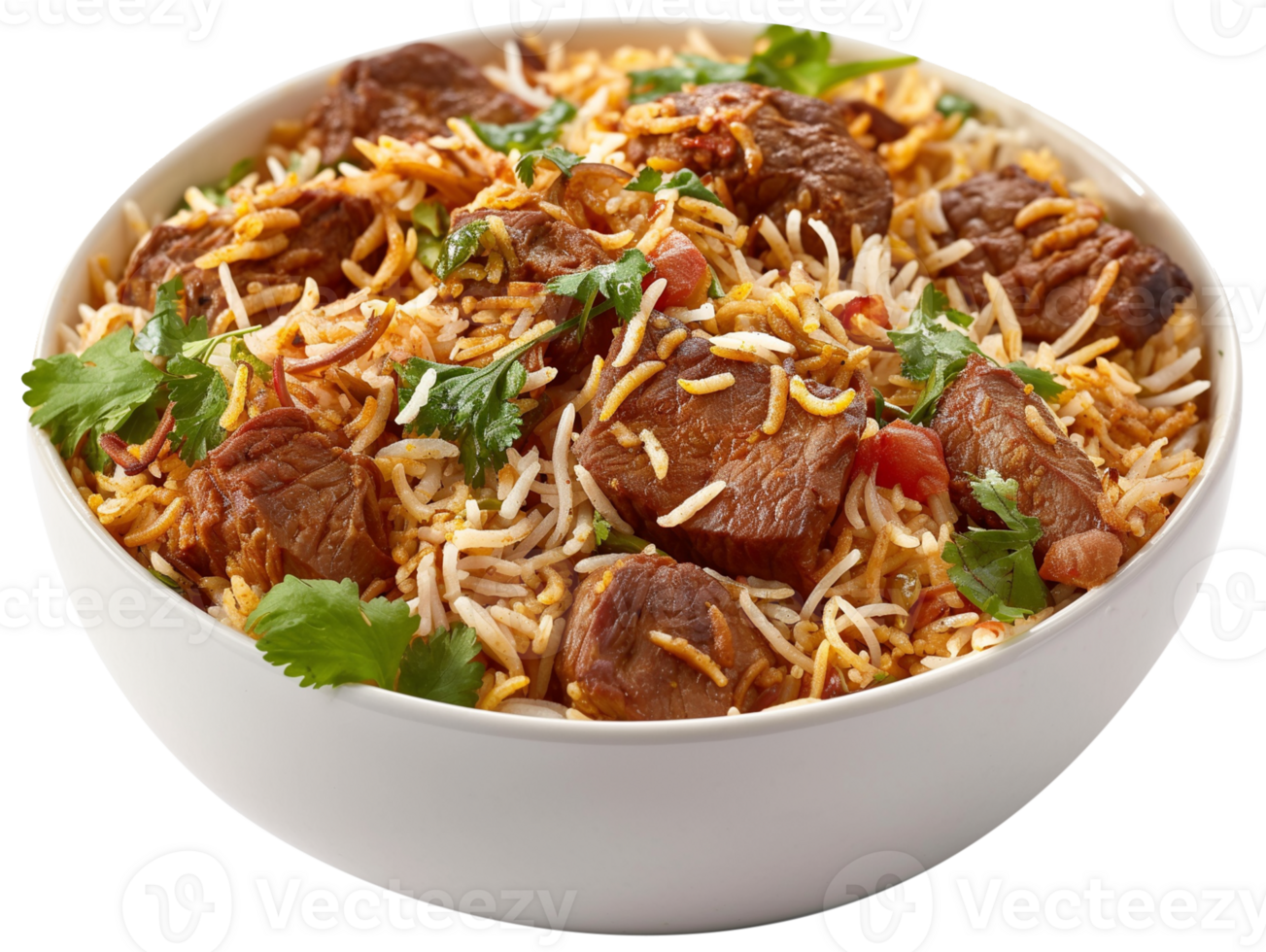 Biryani Dish - delicious beef biryani with basmati rice isolated illustration on a transparent background png