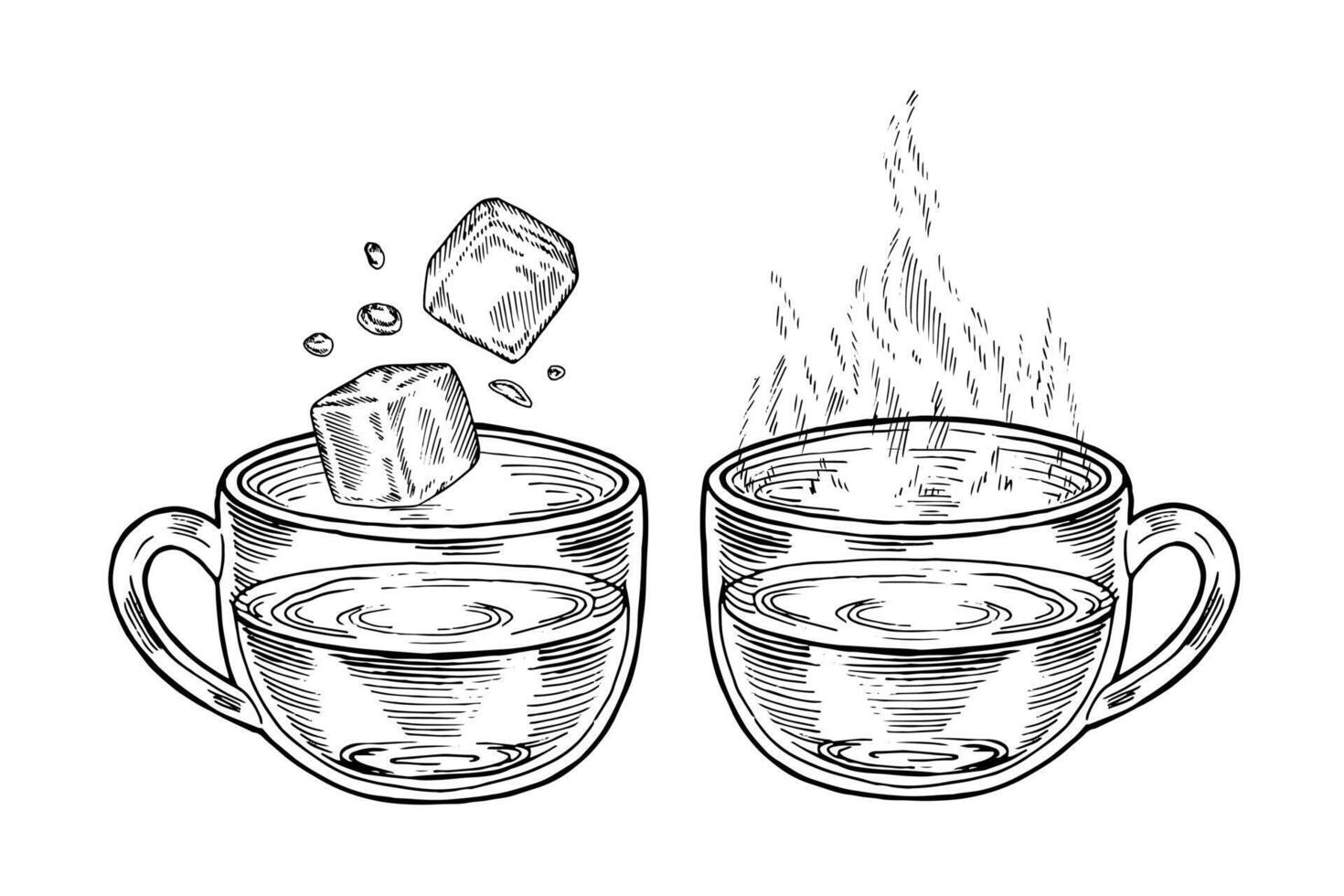 Cups with cold and hot water. hand drawn illustration. Glass transparent mugs outline drawing. Black and white art. Editable backgrounds. Tea with steam or ice cubes sketch vector