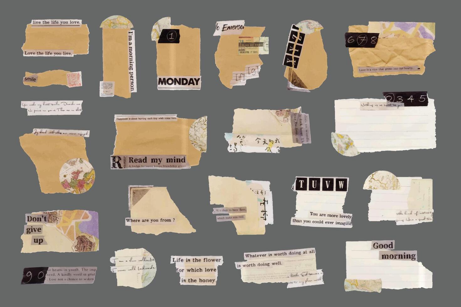 Old Vintage Torn Paper Collection vector