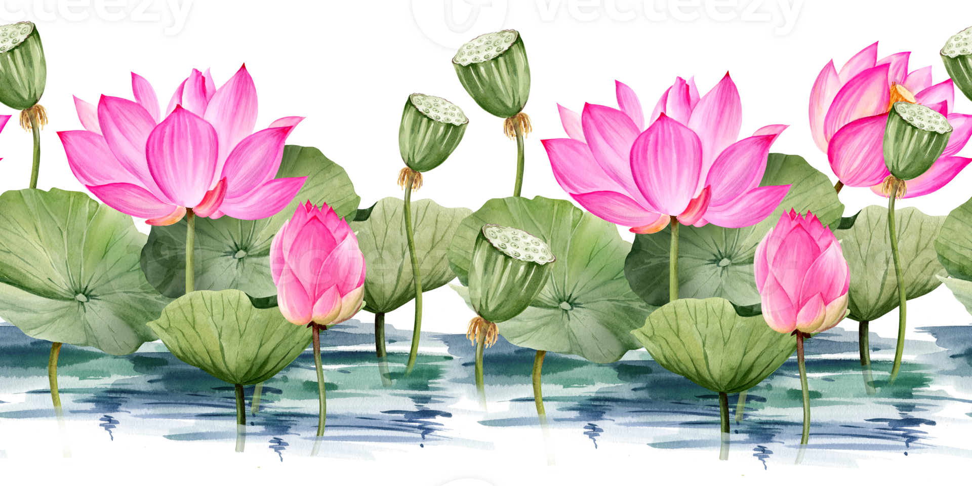 watercolor seamless border with pink lotus flower and leaves, hand drawn illustration of spa and yoga theme, sketch of purple water lily with buds in water, Asian tropical flower png