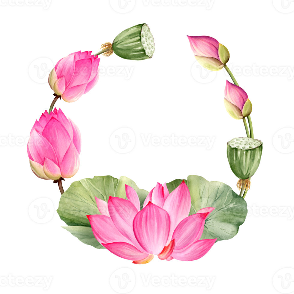 watercolor wreath with pink lotus flower, buds and leaves, hand drawn illustration of spa and yoga theme, sketch of purple and magenta water lily, Asian tropical flower png