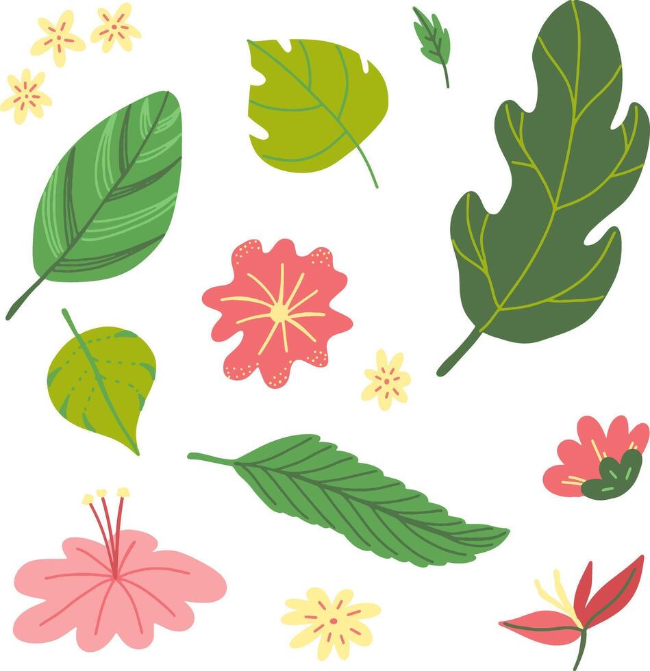 set tropical leaves. Jungle exotic leaf, summer tropical paradise vector