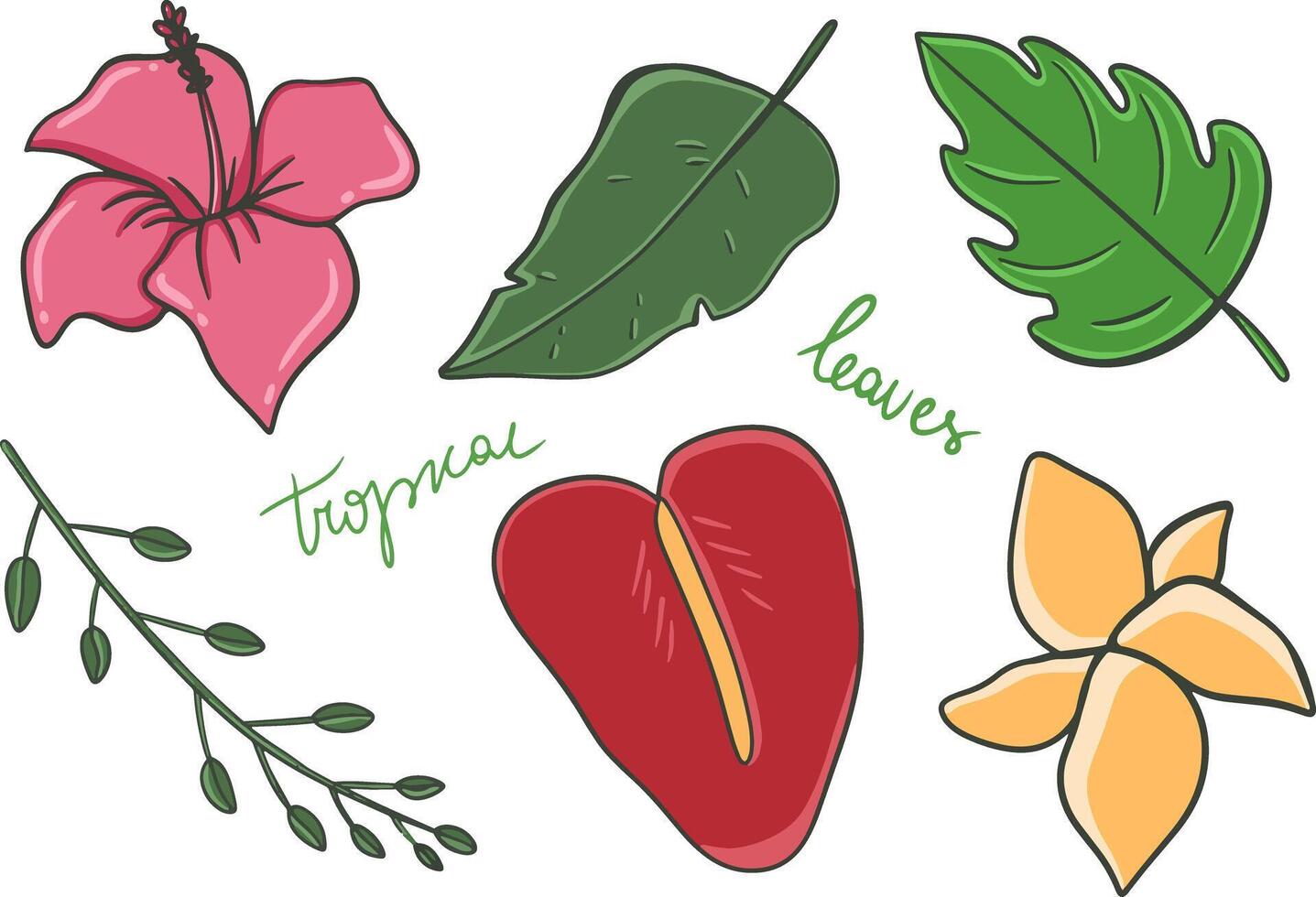 Tropical leaves, flowers set. Plants isolated on white background vector
