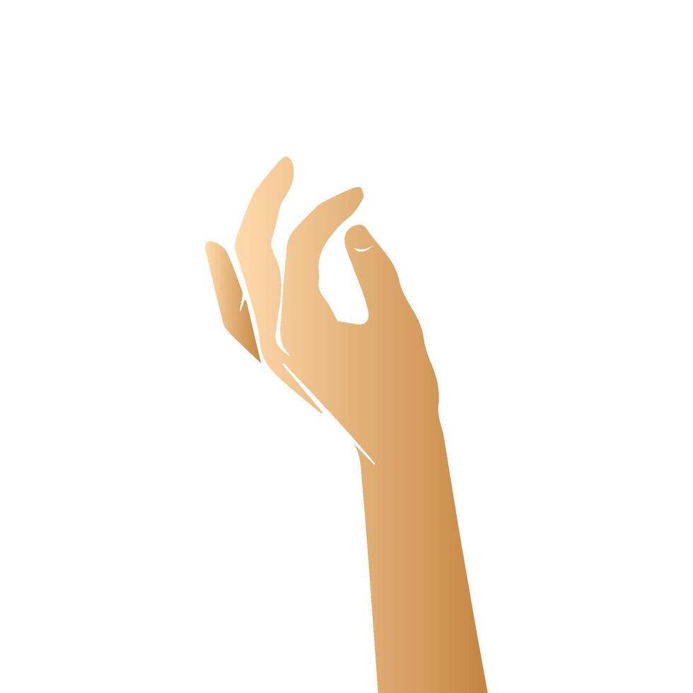 Hand pose, Cartoon human palms and wrist vector