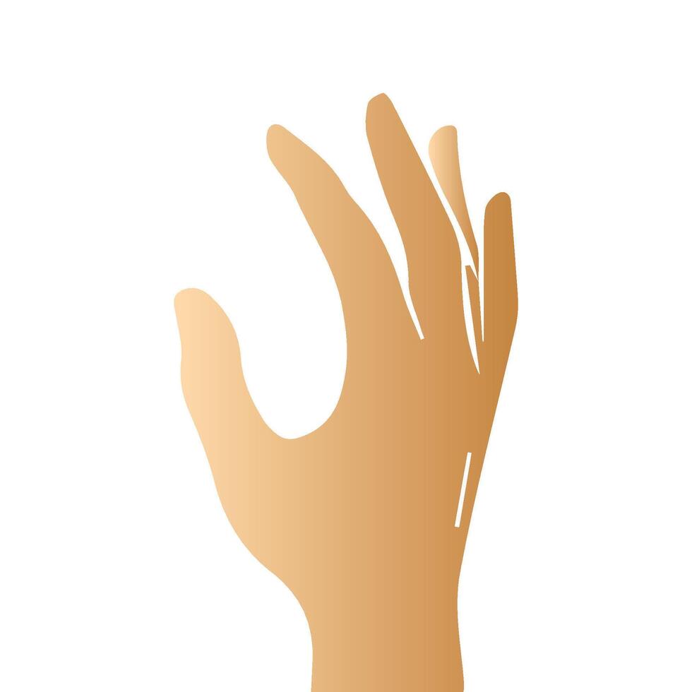 Hand pose, Cartoon human palms and wrist vector