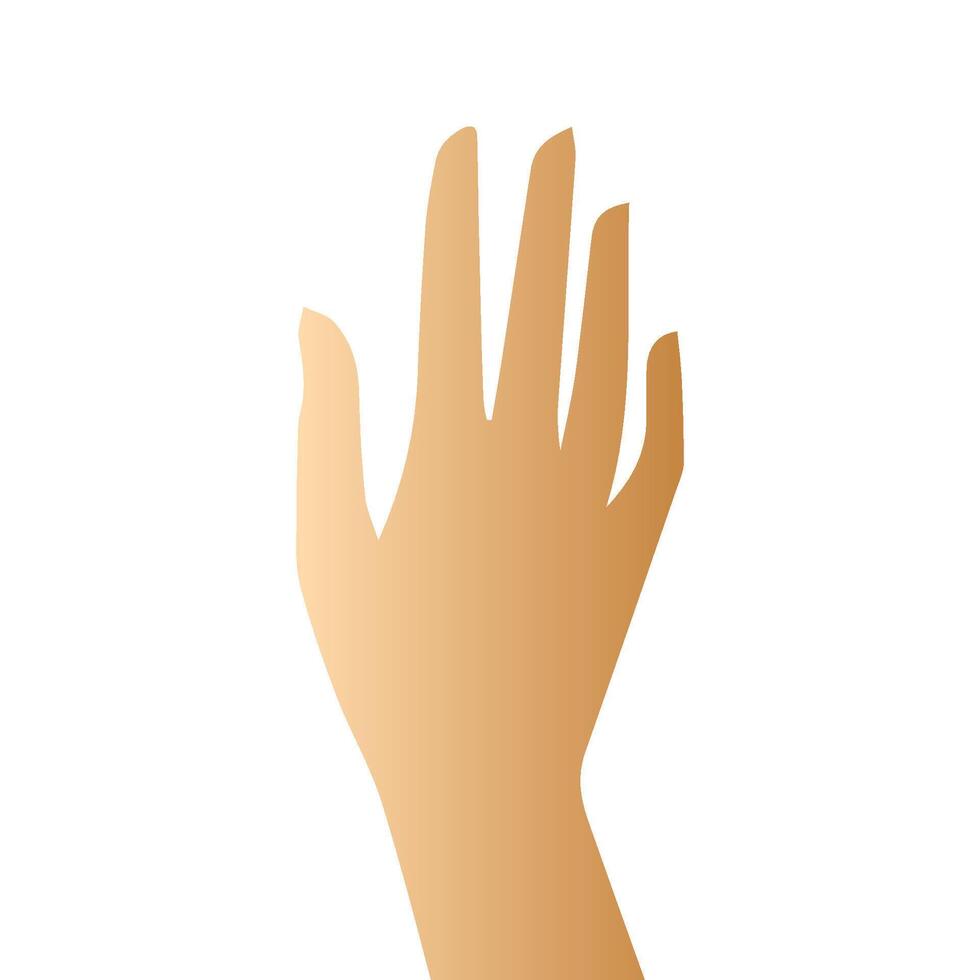 Hand pose, Cartoon human palms and wrist vector