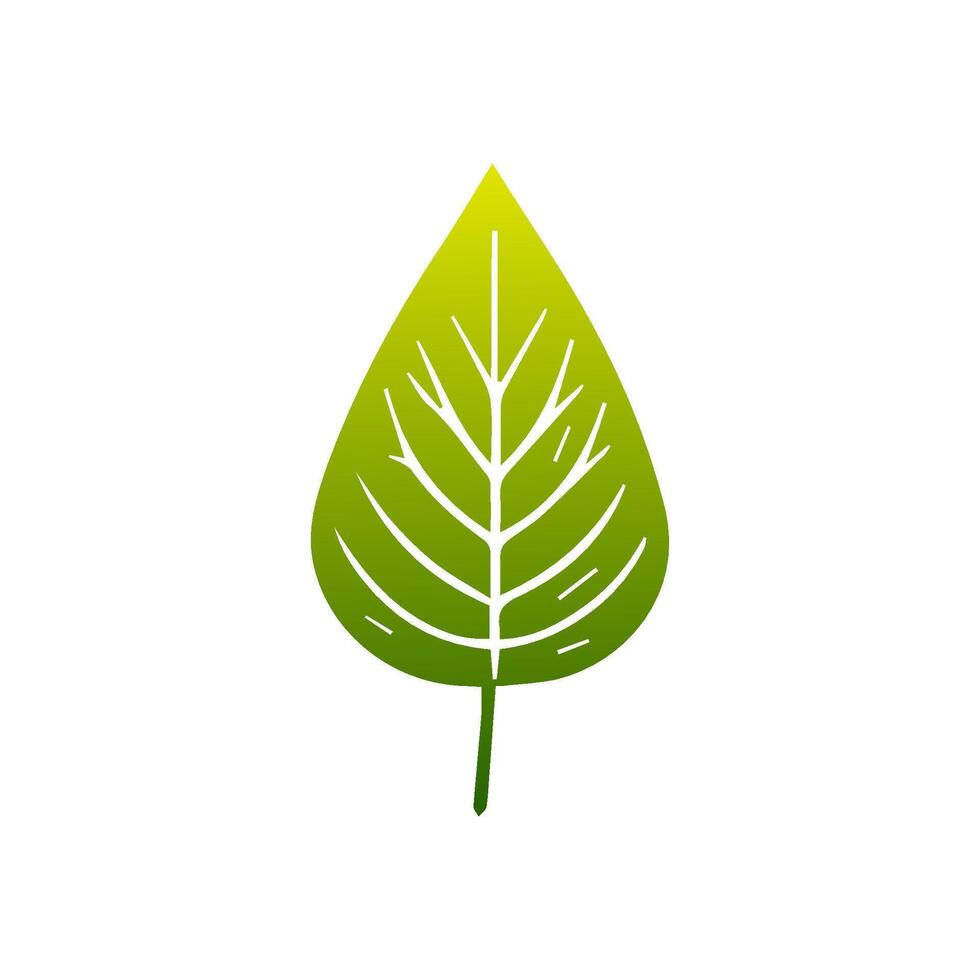 Green leaf icon. Leaves icon on isolated background. Collection green leaf. Elements design for natural, eco, vegan, bio labels vector