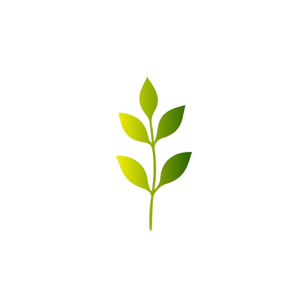 Green leaf icon. Leaves icon on isolated background. Collection green leaf. Elements design for natural, eco, vegan, bio labels vector