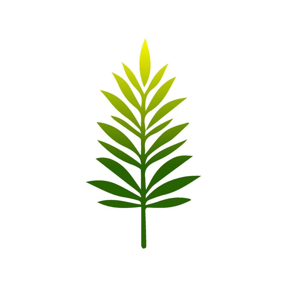 Green leaf icon. Leaves icon on isolated background. Collection green leaf. Elements design for natural, eco, vegan, bio labels vector