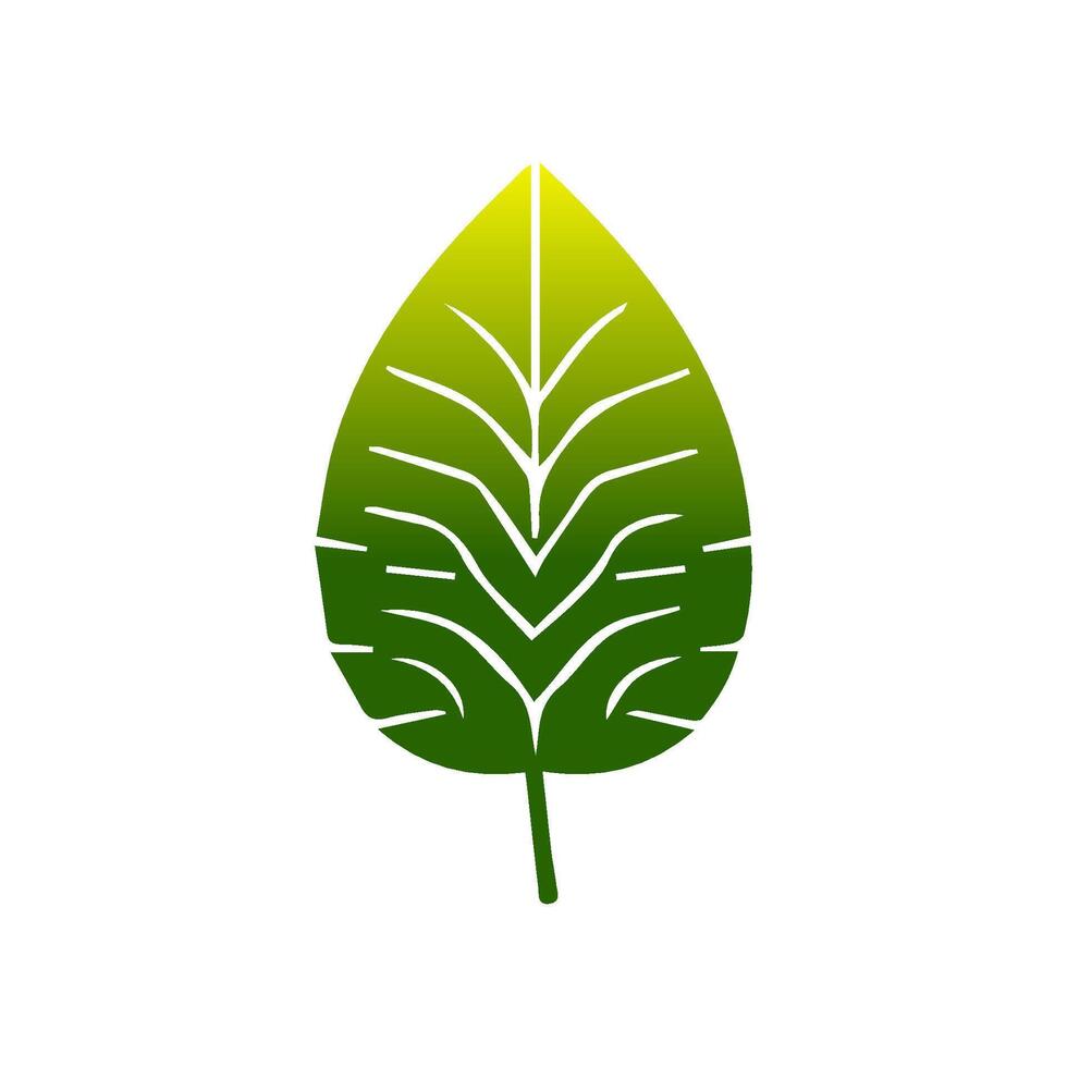 Green leaf icon. Leaves icon on isolated background. Collection green leaf. Elements design for natural, eco, vegan, bio labels vector