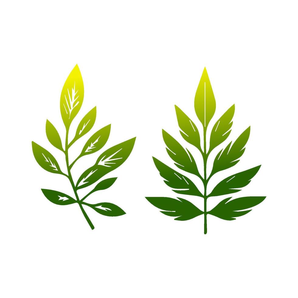 Green leaf icon. Leaves icon on isolated background. Collection green leaf. Elements design for natural, eco, vegan, bio labels vector