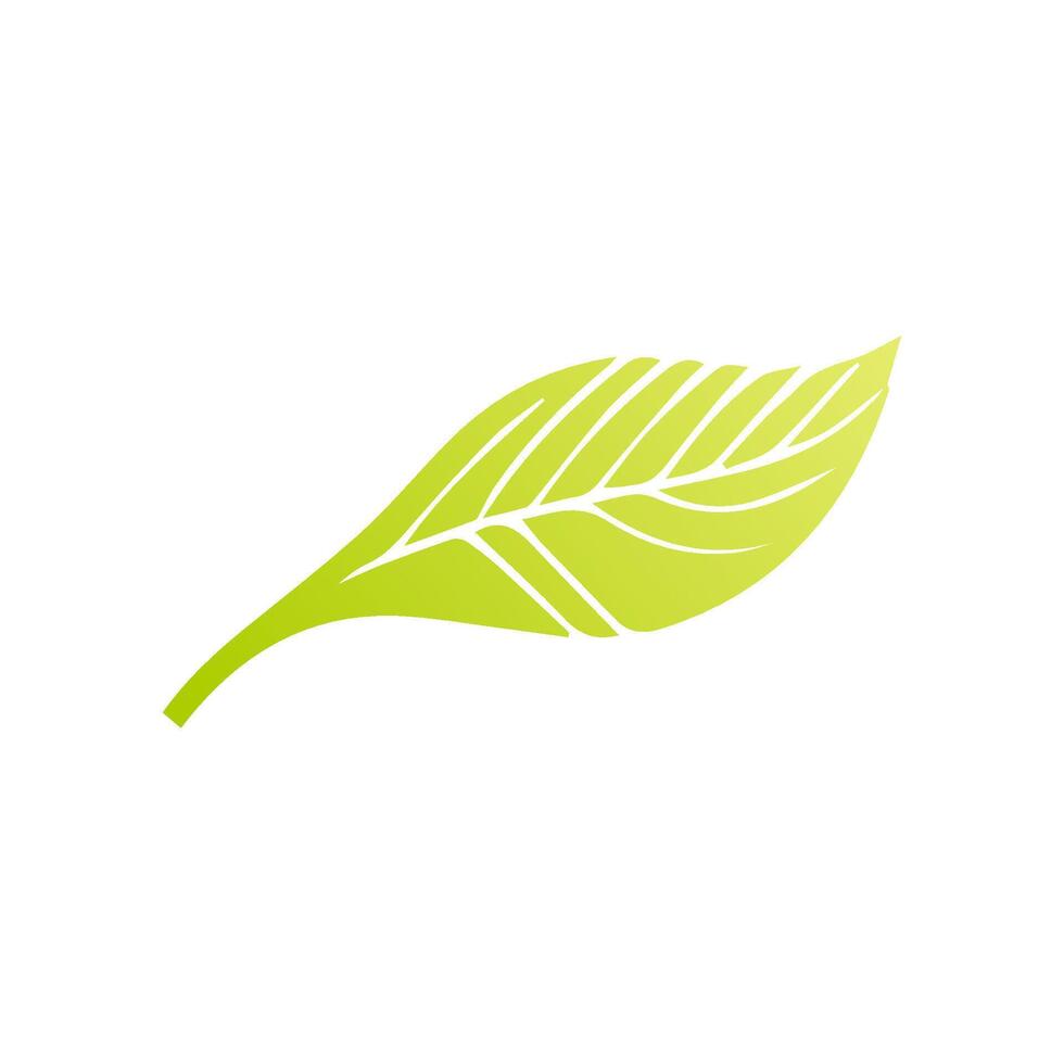 Green leaf icon. Leaves icon on isolated background. Collection green leaf. Elements design for natural, eco, vegan, bio labels vector