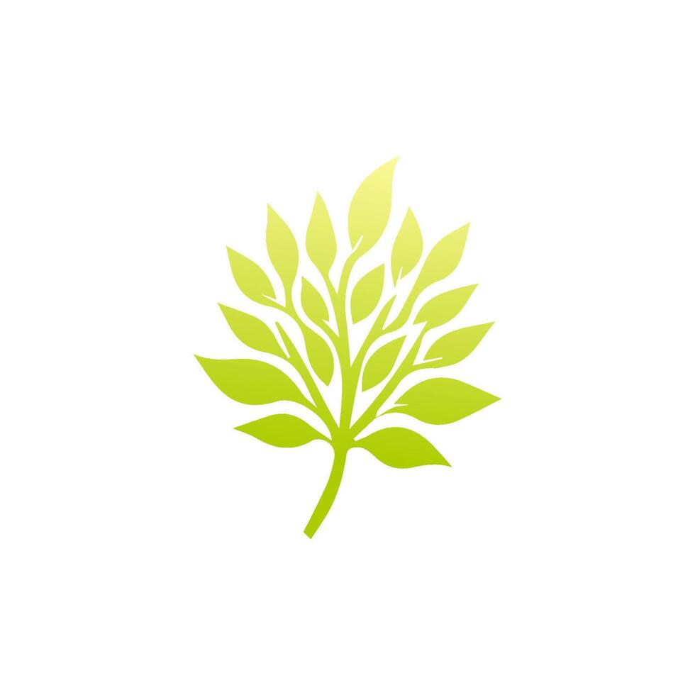 Green leaf icon. Leaves icon on isolated background. Collection green leaf. Elements design for natural, eco, vegan, bio labels vector