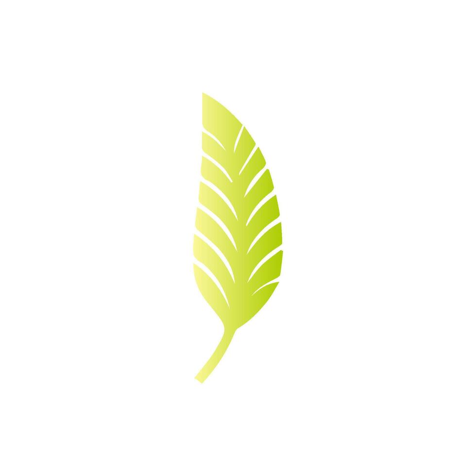 Green leaf icon. Leaves icon on isolated background. Collection green leaf. Elements design for natural, eco, vegan, bio labels vector