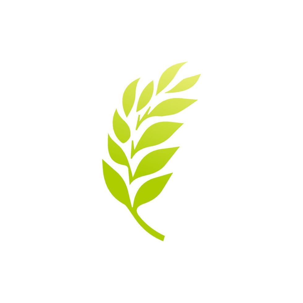Green leaf icon. Leaves icon on isolated background. Collection green leaf. Elements design for natural, eco, vegan, bio labels vector
