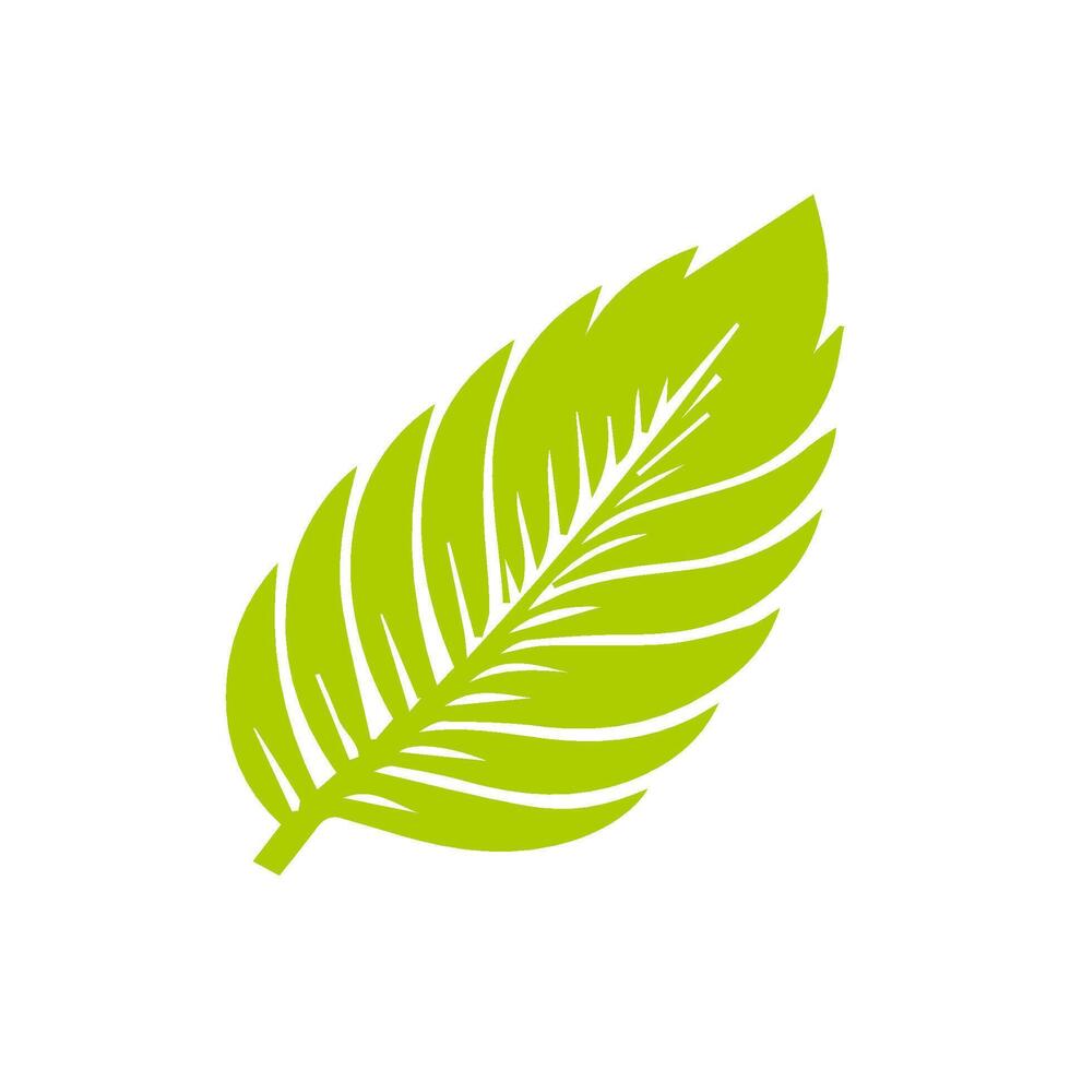 Green leaf icon. Leaves icon on isolated background. Collection green leaf. Elements design for natural, eco, vegan, bio labels vector