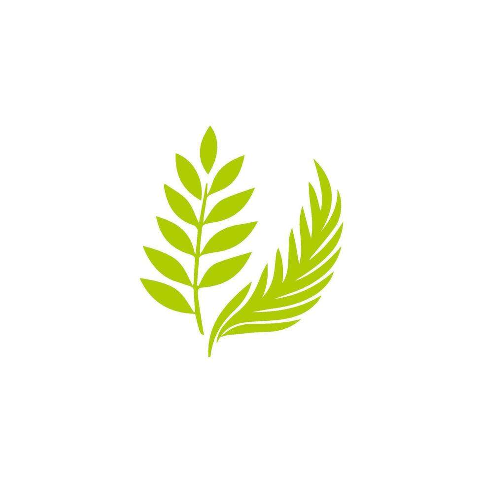 Green leaf icon. Leaves icon on isolated background. Collection green leaf. Elements design for natural, eco, vegan, bio labels vector