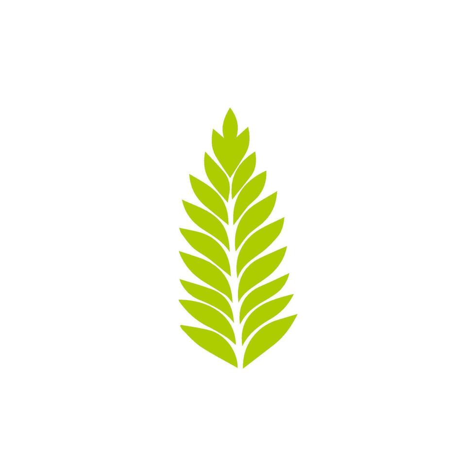 Green leaf icon. Leaves icon on isolated background. Collection green leaf. Elements design for natural, eco, vegan, bio labels vector
