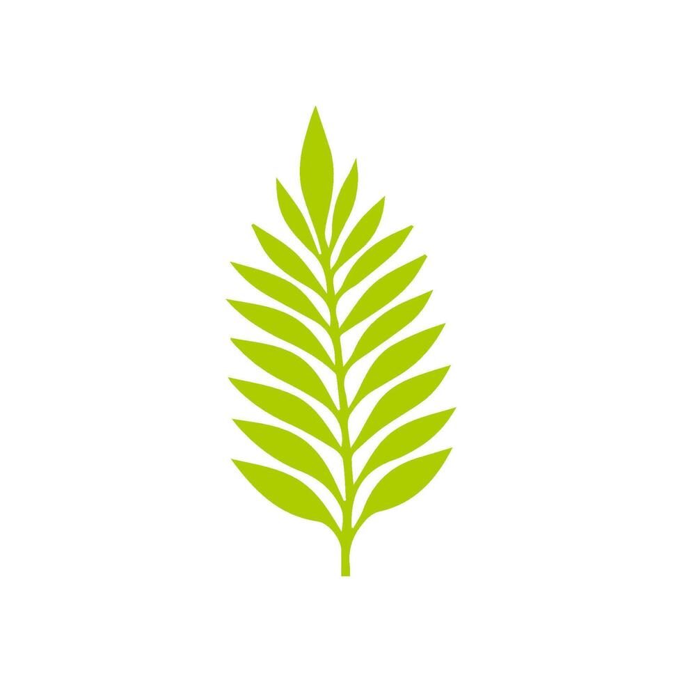 Green leaf icon. Leaves icon on isolated background. Collection green leaf. Elements design for natural, eco, vegan, bio labels vector