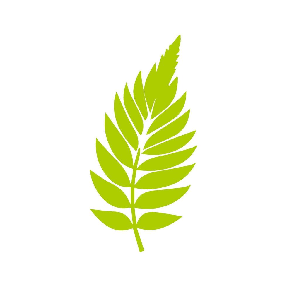 Green leaf icon. Leaves icon on isolated background. Collection green leaf. Elements design for natural, eco, vegan, bio labels vector