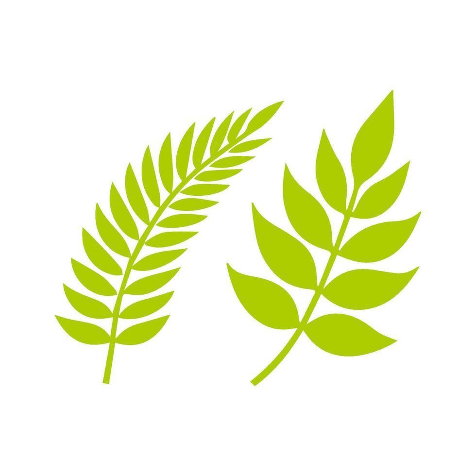 Green leaf icon. Leaves icon on isolated background. Collection green leaf. Elements design for natural, eco, vegan, bio labels vector