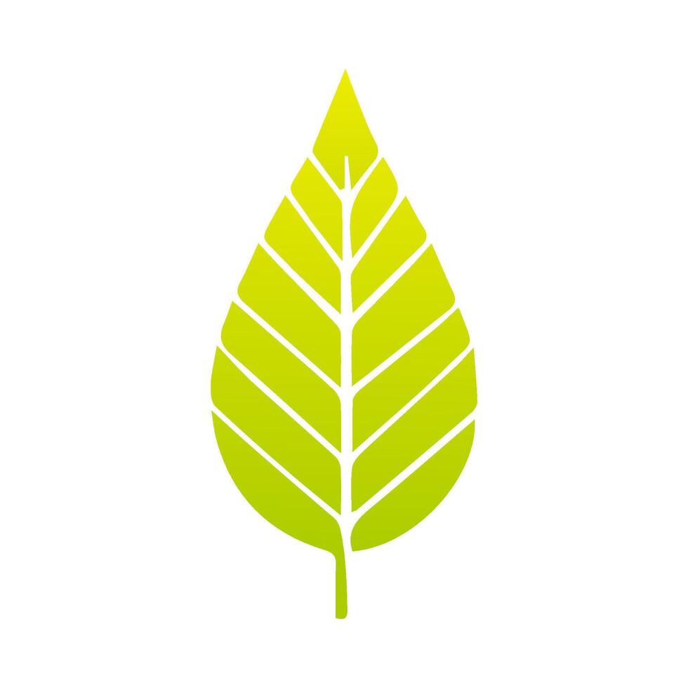 Green leaf icon, Elements design for natural, eco, vegan, bio label vector
