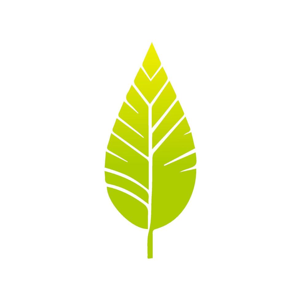 Green leaf icon, Elements design for natural, eco, vegan, bio label vector